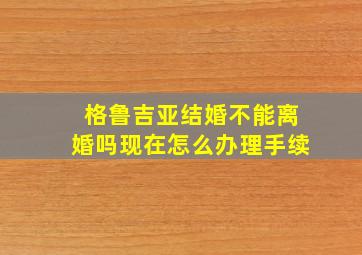 格鲁吉亚结婚不能离婚吗现在怎么办理手续