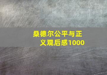 桑德尔公平与正义观后感1000