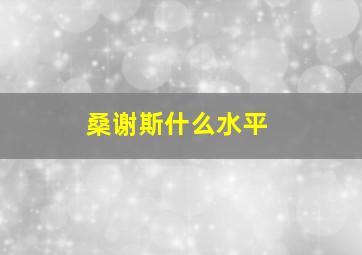 桑谢斯什么水平