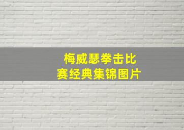 梅威瑟拳击比赛经典集锦图片