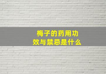 梅子的药用功效与禁忌是什么