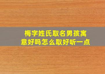 梅字姓氏取名男孩寓意好吗怎么取好听一点