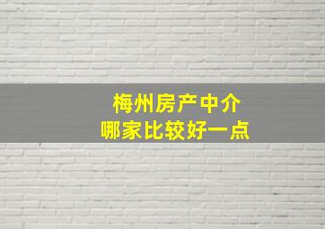 梅州房产中介哪家比较好一点