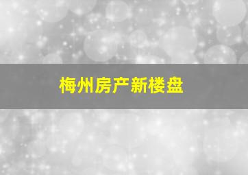 梅州房产新楼盘