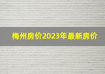 梅州房价2023年最新房价