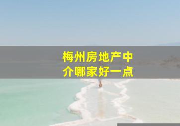 梅州房地产中介哪家好一点