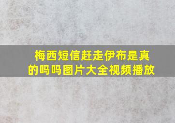 梅西短信赶走伊布是真的吗吗图片大全视频播放