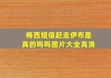 梅西短信赶走伊布是真的吗吗图片大全高清