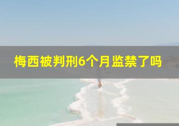 梅西被判刑6个月监禁了吗