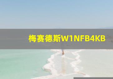 梅赛德斯W1NFB4KB