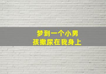 梦到一个小男孩撒尿在我身上