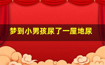 梦到小男孩尿了一屋地尿