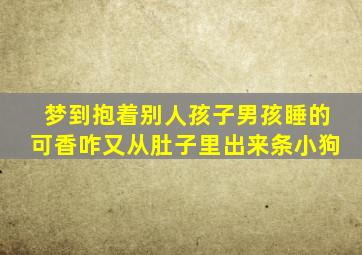 梦到抱着别人孩子男孩睡的可香咋又从肚子里出来条小狗