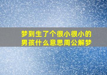 梦到生了个很小很小的男孩什么意思周公解梦