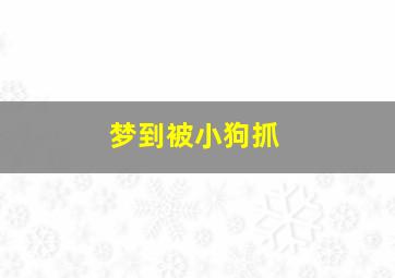 梦到被小狗抓