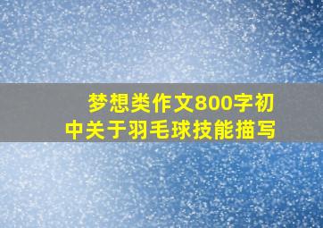 梦想类作文800字初中关于羽毛球技能描写