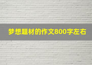 梦想题材的作文800字左右