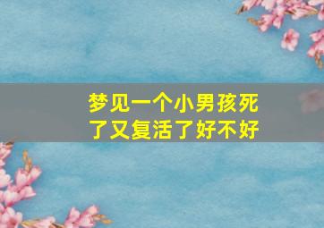 梦见一个小男孩死了又复活了好不好