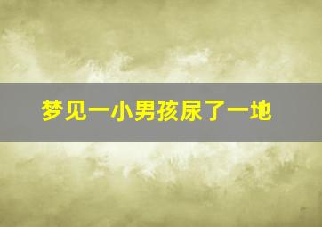 梦见一小男孩尿了一地