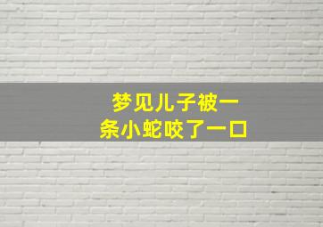 梦见儿子被一条小蛇咬了一口