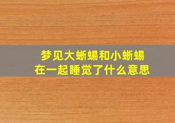 梦见大蜥蜴和小蜥蜴在一起睡觉了什么意思