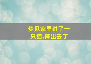 梦见家里进了一只猫,撵出去了