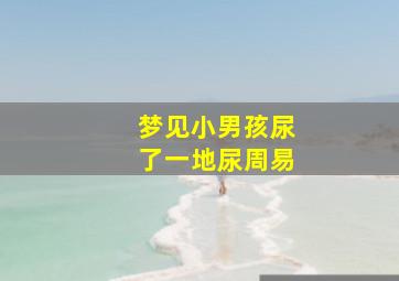 梦见小男孩尿了一地尿周易