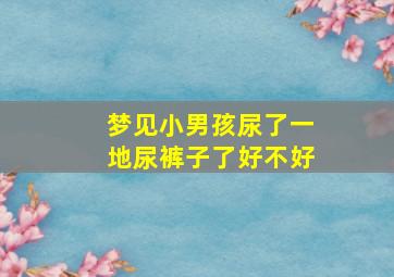 梦见小男孩尿了一地尿裤子了好不好