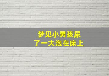 梦见小男孩尿了一大泡在床上