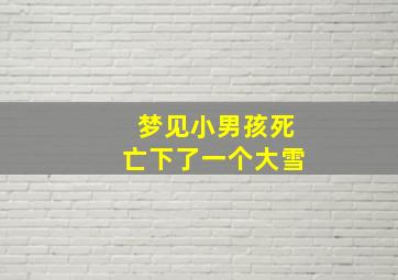 梦见小男孩死亡下了一个大雪