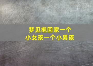 梦见抱回家一个小女孩一个小男孩