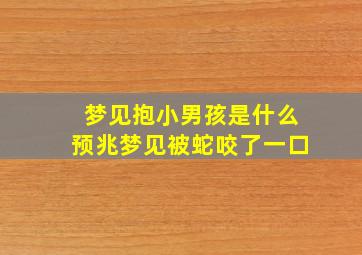 梦见抱小男孩是什么预兆梦见被蛇咬了一口