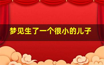 梦见生了一个很小的儿子