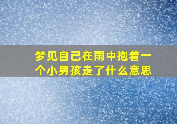 梦见自己在雨中抱着一个小男孩走了什么意思