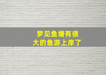 梦见鱼塘有很大的鱼游上岸了