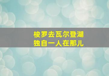 梭罗去瓦尔登湖独自一人在那儿