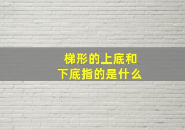 梯形的上底和下底指的是什么