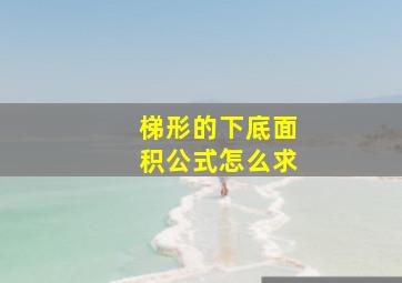 梯形的下底面积公式怎么求