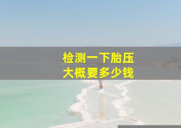 检测一下胎压大概要多少钱