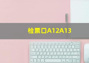 检票口A12A13