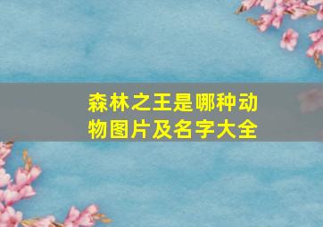 森林之王是哪种动物图片及名字大全