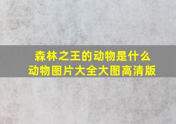 森林之王的动物是什么动物图片大全大图高清版