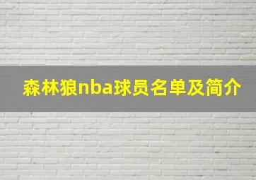 森林狼nba球员名单及简介