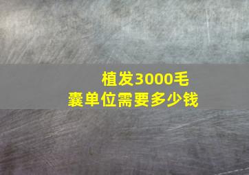 植发3000毛囊单位需要多少钱