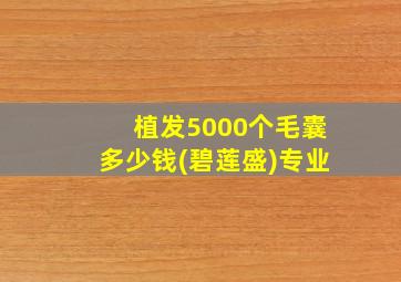 植发5000个毛囊多少钱(碧莲盛)专业