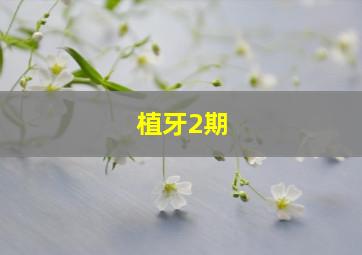 植牙2期