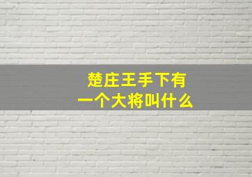 楚庄王手下有一个大将叫什么