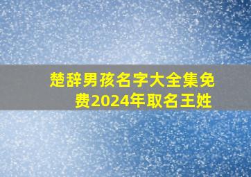 楚辞男孩名字大全集免费2024年取名王姓