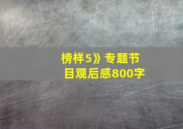 榜样5》专题节目观后感800字