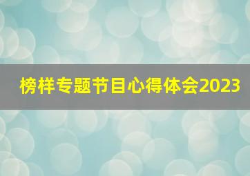 榜样专题节目心得体会2023